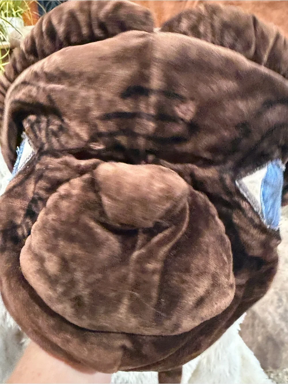 ET. Brown Plush Novelty Accent Pillow with Blue Eye